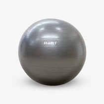 Swiss Balls & Accessories