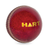 HART Ripper 2 Piece Cricket Ball - Hart Sport NZ