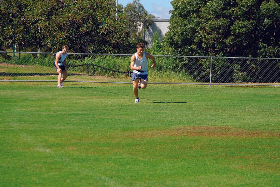 HART Catapult Trainers - Hart Sport NZ