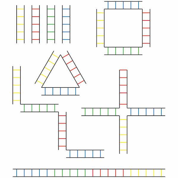 HART Four Colour Agility Ladder Set - Hart Sport NZ