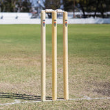 HART Wooden Stumps - Hart Sport NZ