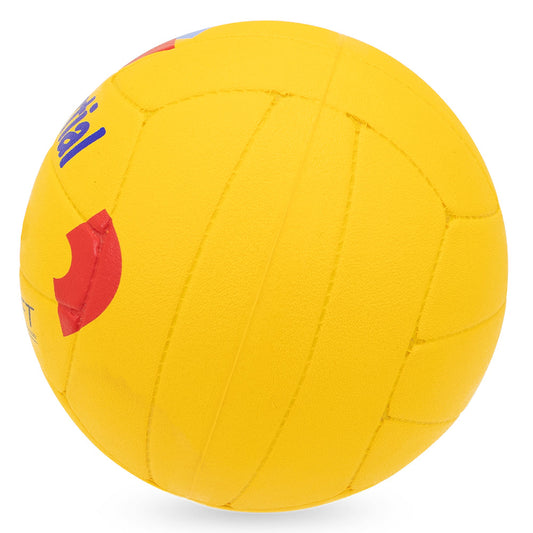HART Celestial Volleyball - Hart Sport NZ