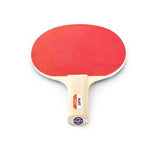 HART Star Table Tennis Bat - Hart Sport NZ