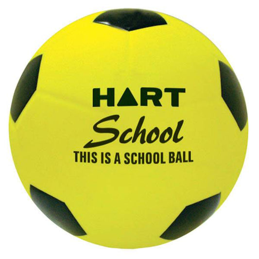 HART PVC School Volleyball - Hart Sport NZ