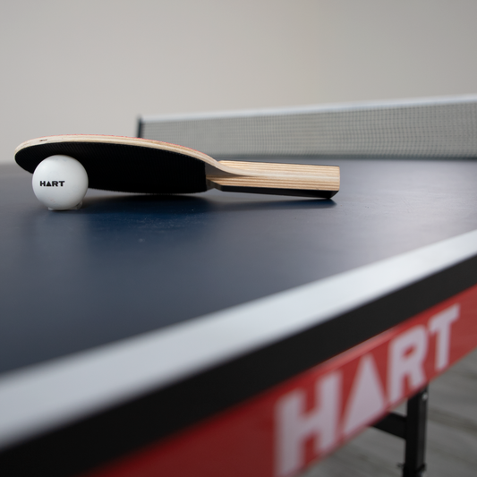 Table Tennis Tables: Which is Right for You