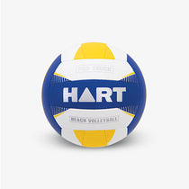 Beach Volleyball