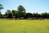 HART Tug-o-War Ropes - Hart Sport NZ