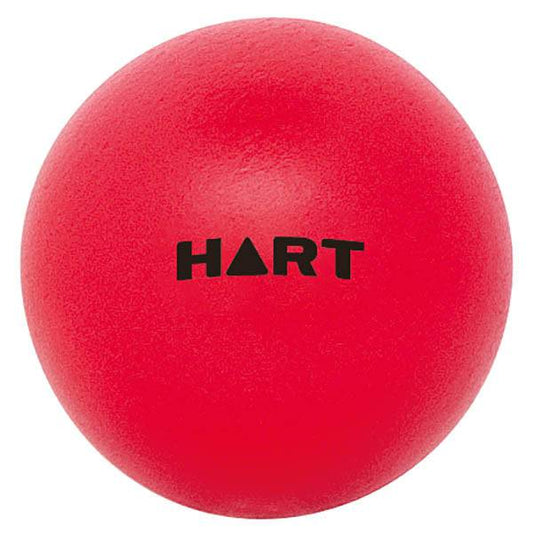 HART Super Skin Foam Ball Volleyballs