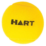 HART Soft Foam Balls