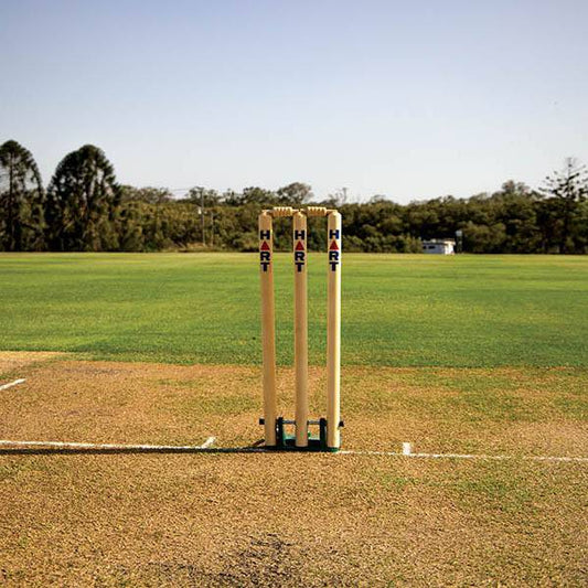 HART Spring Back Stumps Wooden - Hart Sport NZ