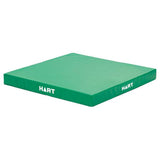 HART Medium Lite Play Mats