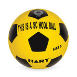 HART School Soccer Balls