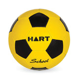 HART School Soccer Balls